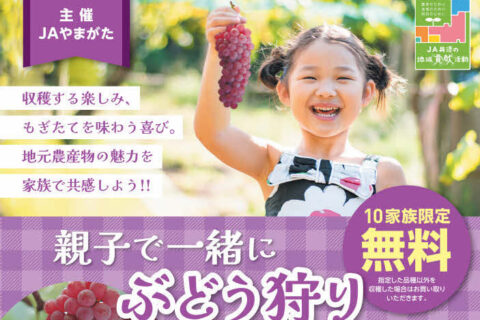 親子で一緒にぶどう狩り